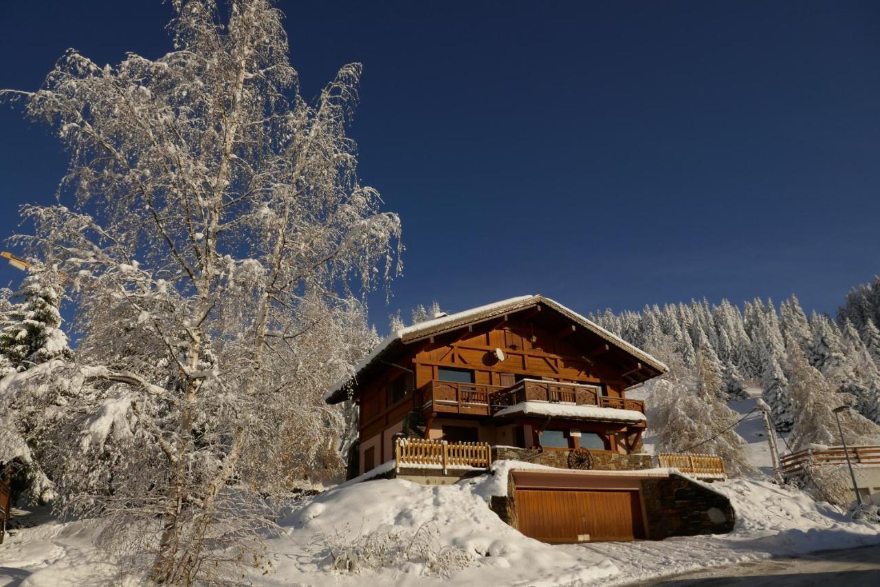 Les Saisies Cote Bisanne Appartement Dans Chalet Le Nepal Exteriör bild