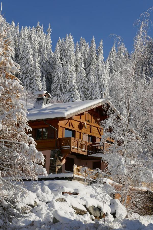 Les Saisies Cote Bisanne Appartement Dans Chalet Le Nepal Exteriör bild